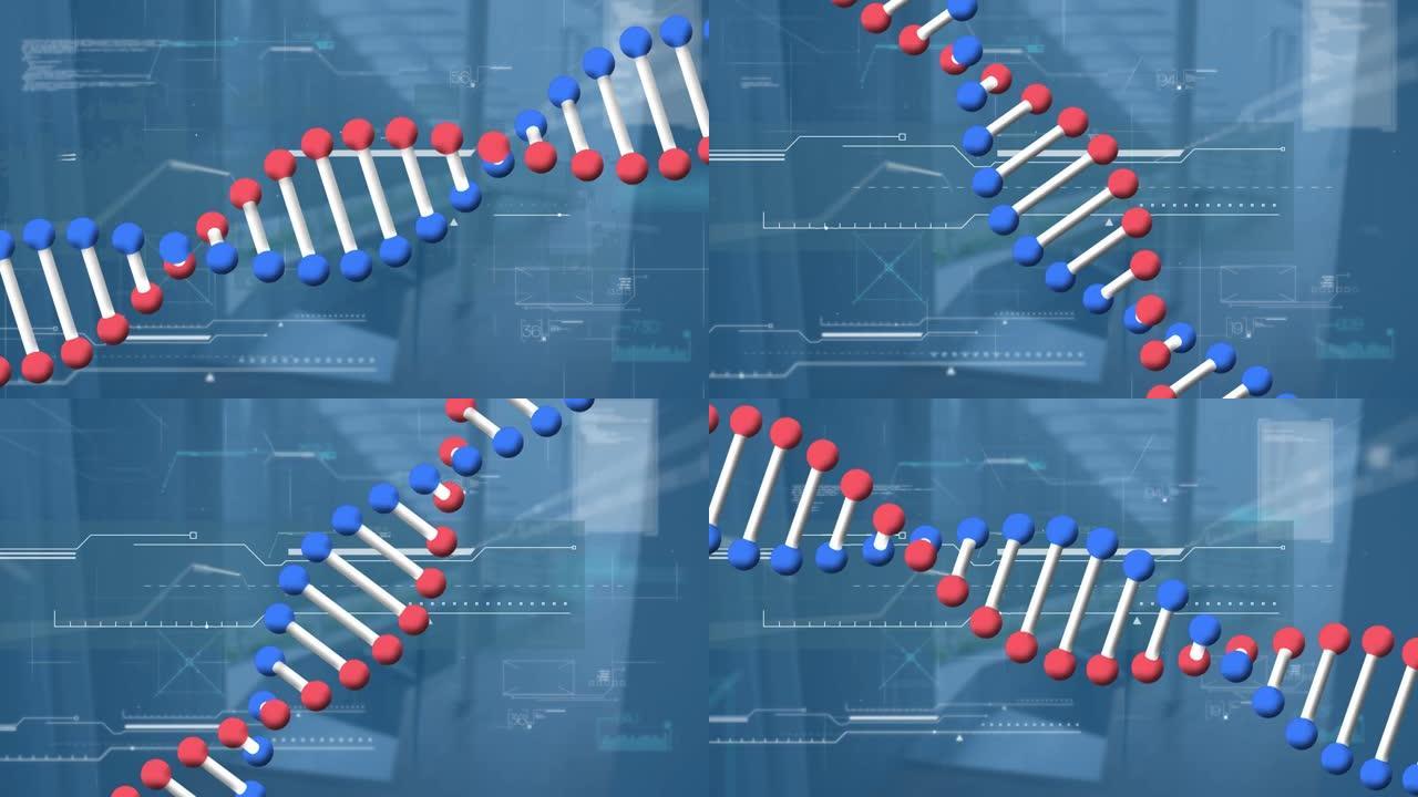 dna链在蓝色背景上旋转的不同数据上的动画