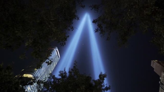 在纽约市的树木中看到的9月11日纪念灯