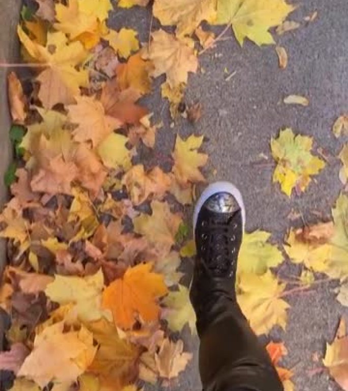 在寒冷的秋日，女人的腿在落叶上行走。穿着皮革腿和Skeakers的女性脚