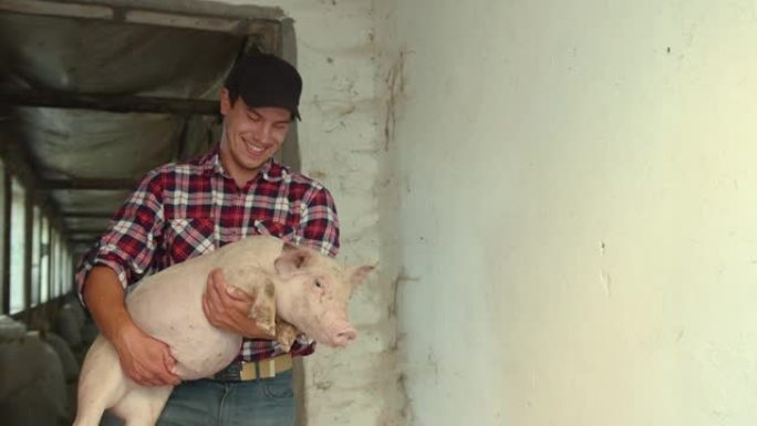 农夫抱着一只沉重的小猪