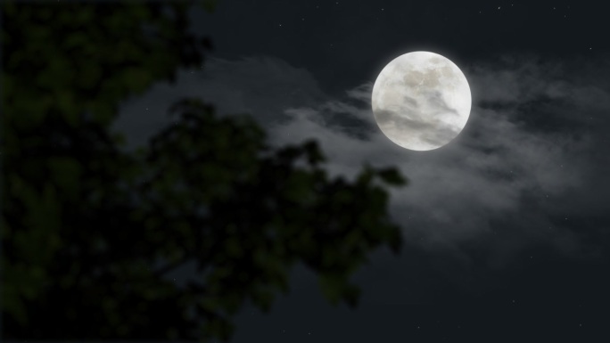 月亮树云朵月亮在白云里穿梭