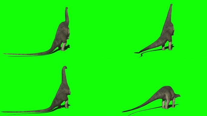 在绿色屏幕上进食的雷龙恐龙