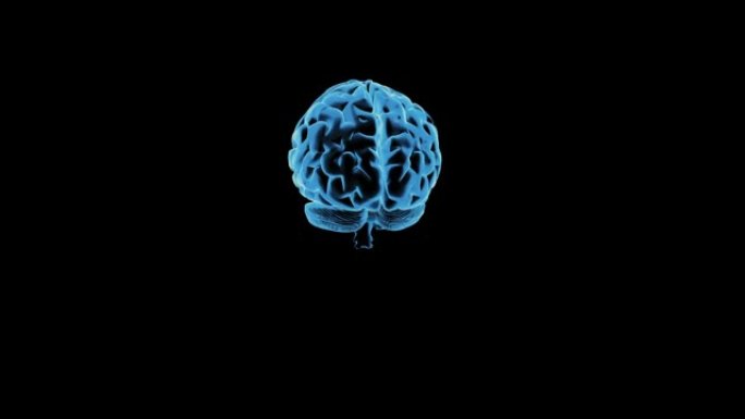 人脑的旋转在黑色背景上是蓝色的