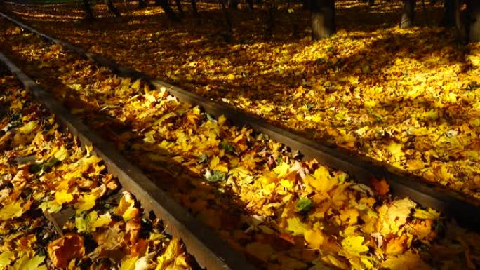 覆盖着秋天枫叶的窄轨铁路。铁路公路。