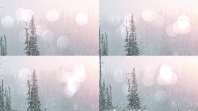 冬季乡村风光的发光点动画