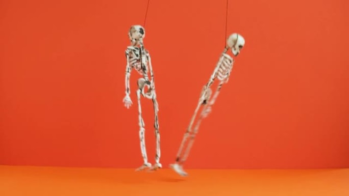 悬挂的骨骼在橙色背景上跳舞。准备万圣节派对。