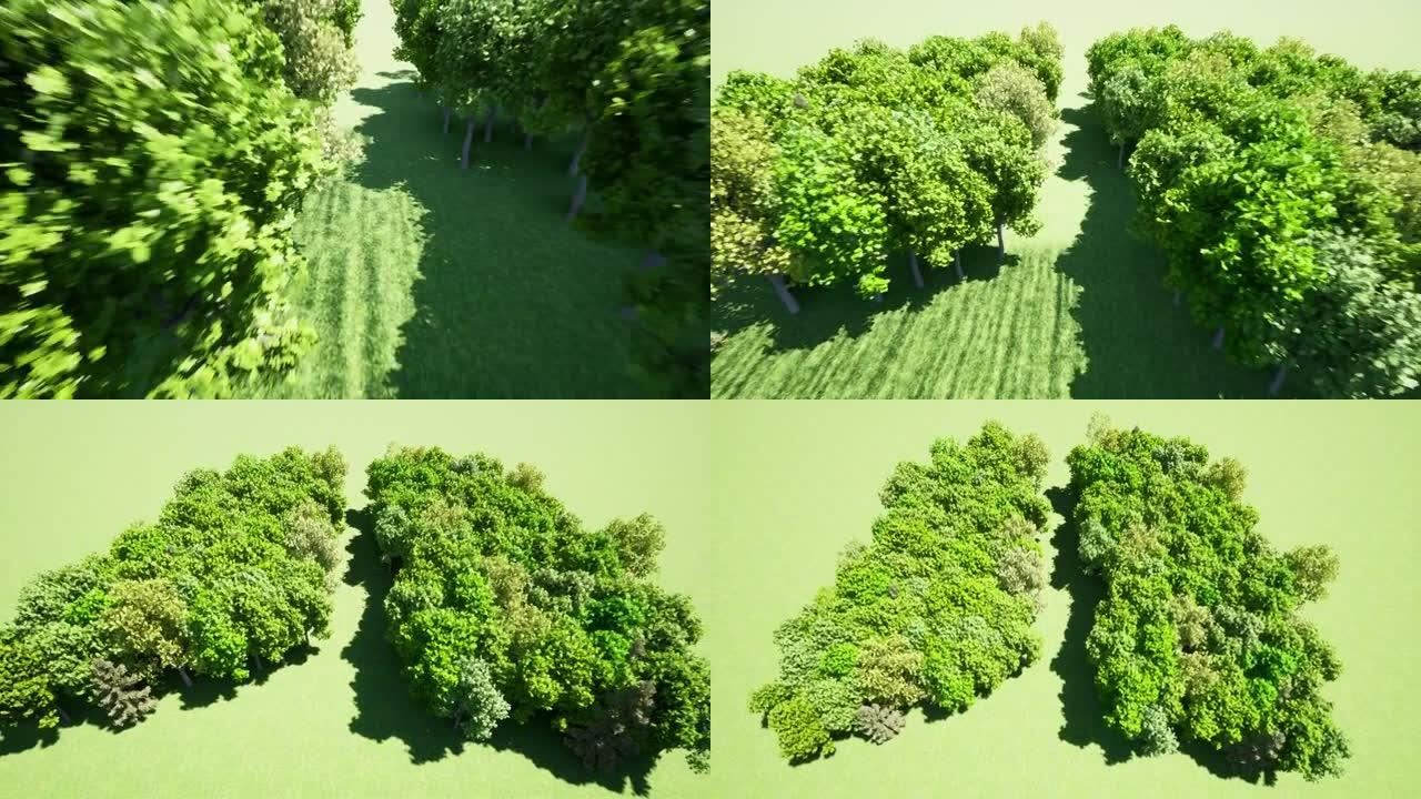 森林肺环境自然地球拯救地球绿色星球4k
