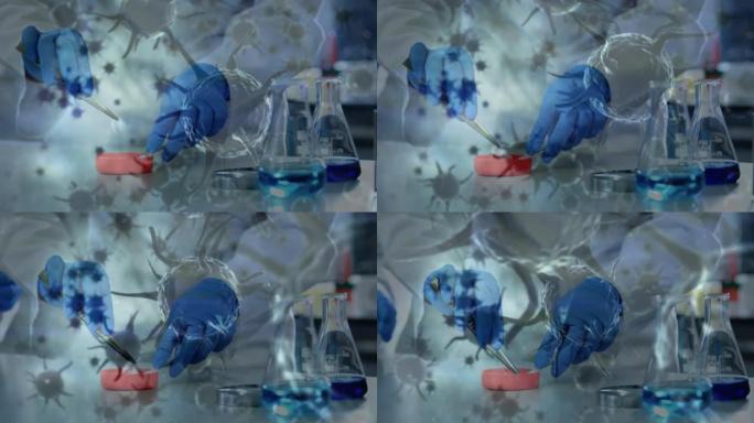 冠状病毒细胞在实验室科学中的动画