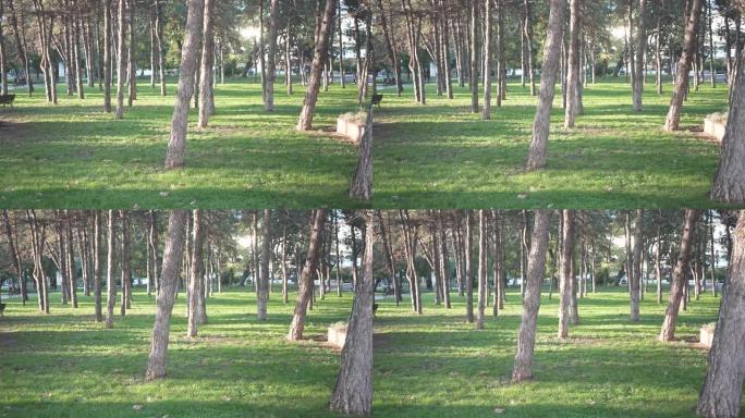 马其顿斯科普里市中心公园的慢动作视频