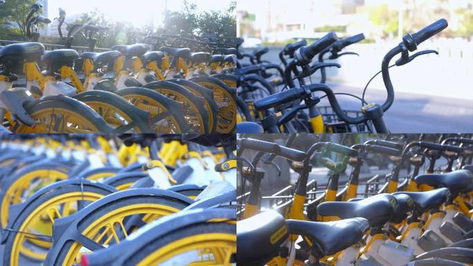 4K城市共享单车 低碳出行