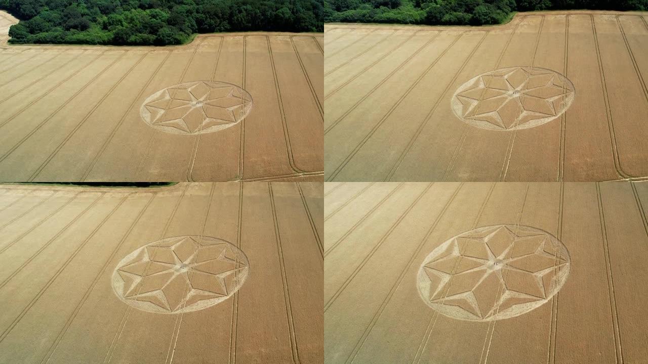 Tichborne神秘黄金农田几何花卉图案麦田圈鸟瞰图左轨道拍摄头顶