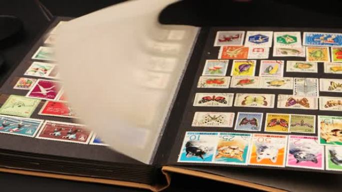 集邮者作品与专辑中的邮票收藏