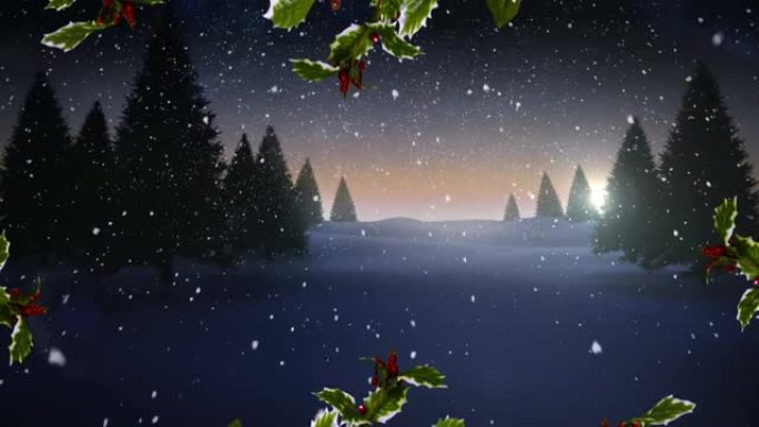 圣诞节花环装饰在冬季景观上落在多棵树上的积雪上
