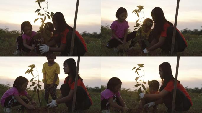 年轻的女人和女孩在晚上种树。