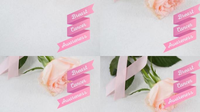 动画乳腺癌意识文字在白玫瑰
