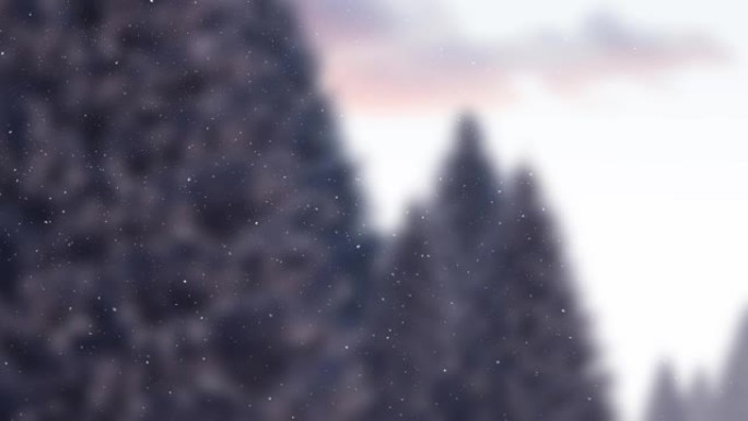 灰色的杉木上的雪的动画