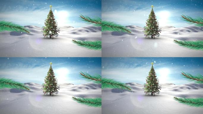 冬季景观中飘落在圣诞树上的积雪动画