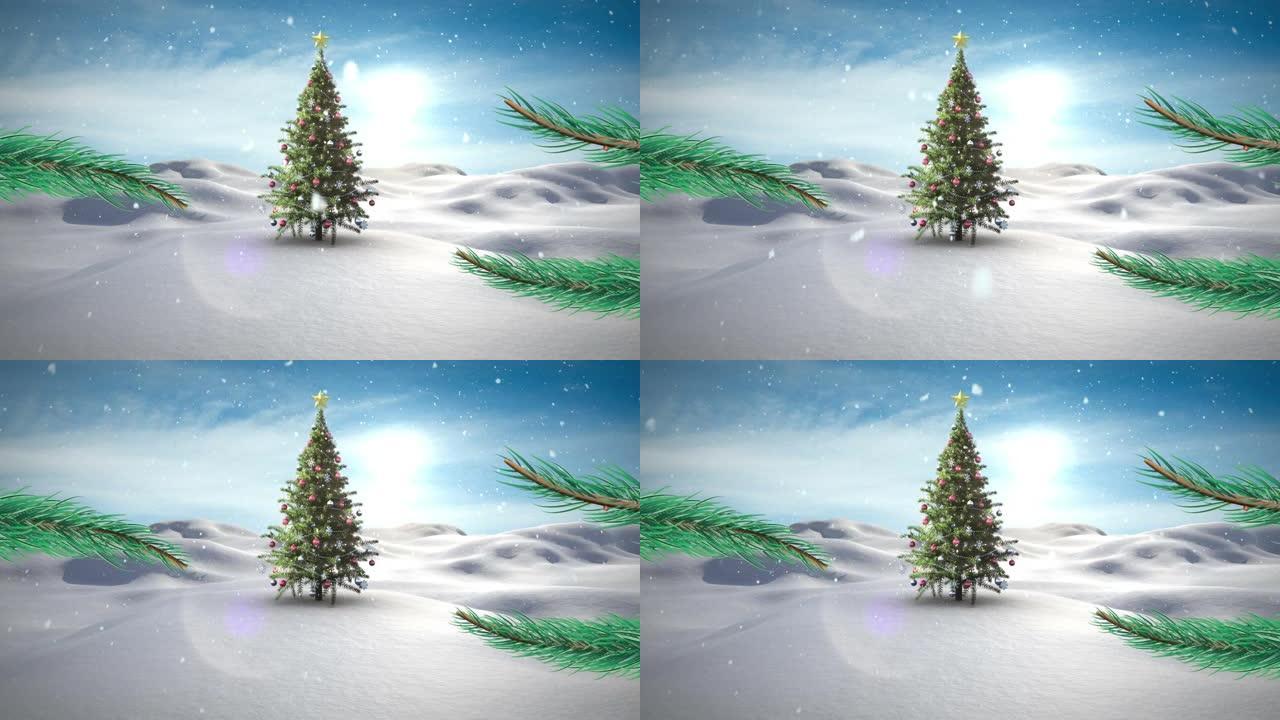 冬季景观中飘落在圣诞树上的积雪动画