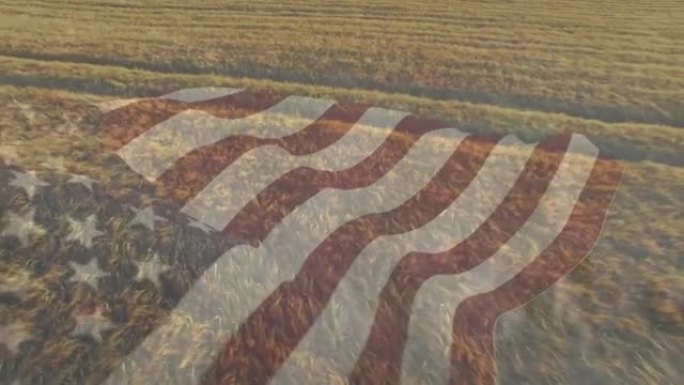 美国国旗飘扬在耕地上的动画