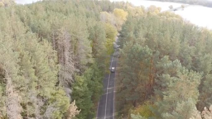 秋天，沿着白色汽车穿越乡村道路。在黄色秋季森林的乡村路线上行驶。SUV在美丽的秋季穿越风景优美的风景