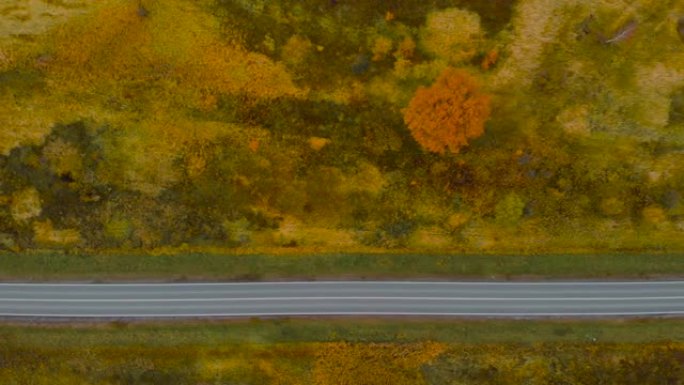 从上方观看。鸟瞰图飞越穿过乡村的秋季自然道路。秋天风景中的路航拍。黑色汽车在秋天的道路上行驶，穿过五