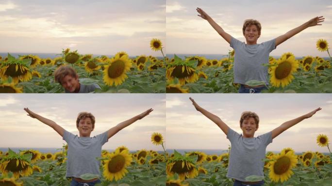 快乐的小男孩在向日葵的田野里快乐。慢动作视频。夏天的田野里闻到大向日葵的味道。愉快气味的喜悦。暑假。