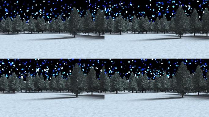 冬季景观上的多棵树，面对黑色背景上漂浮的蓝色光斑