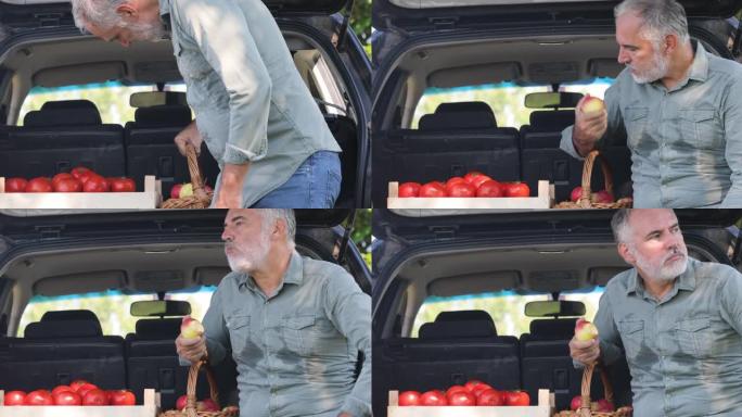 成熟的农夫坐在汽车后备箱里吃苹果