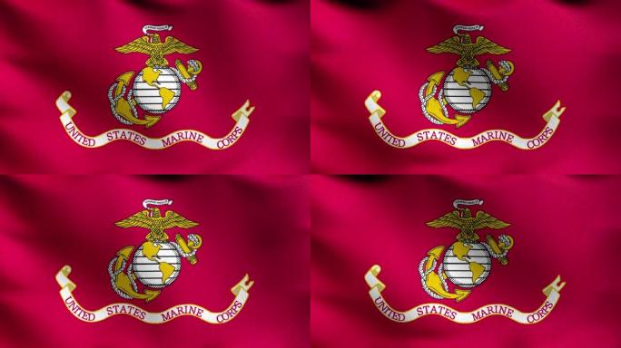 海军陆战队，美国国旗随风飘扬。挥舞标志的3D渲染插图