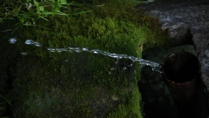 森林淡水，垂直视频