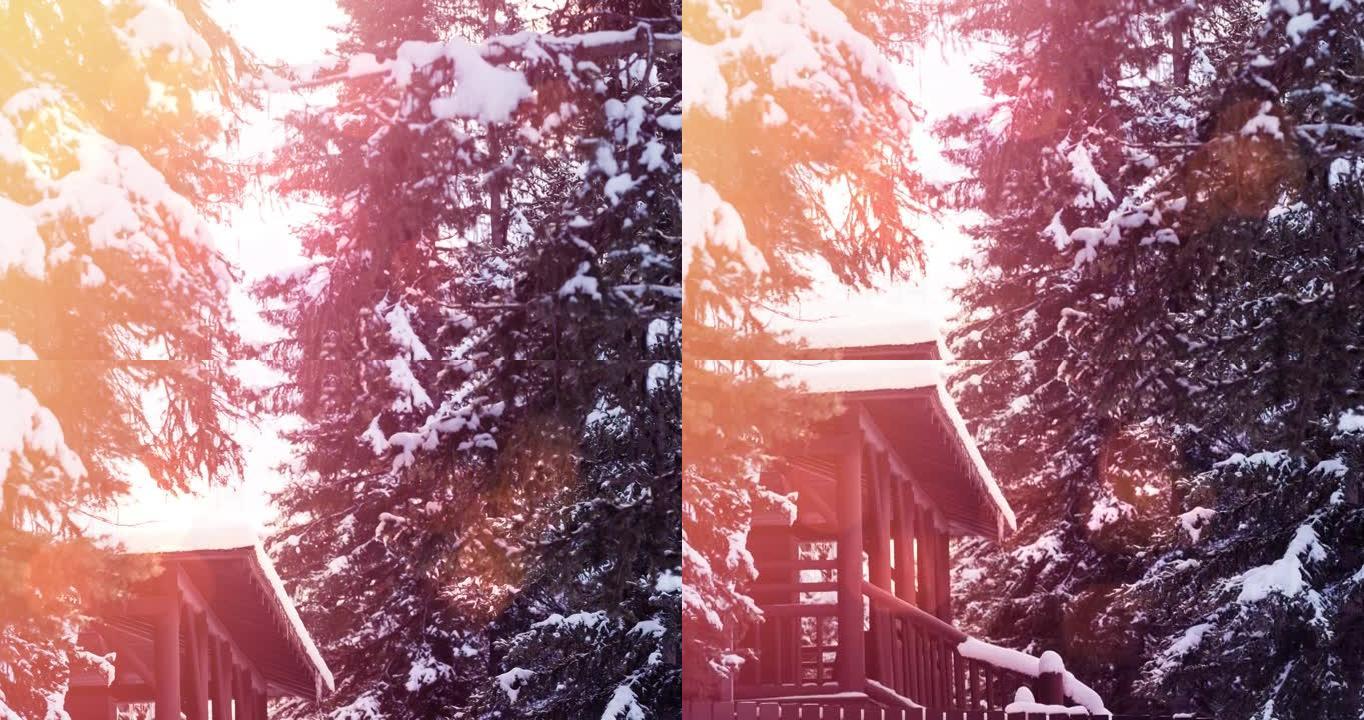 冬季景观上积雪覆盖的树木和房屋上的光点
