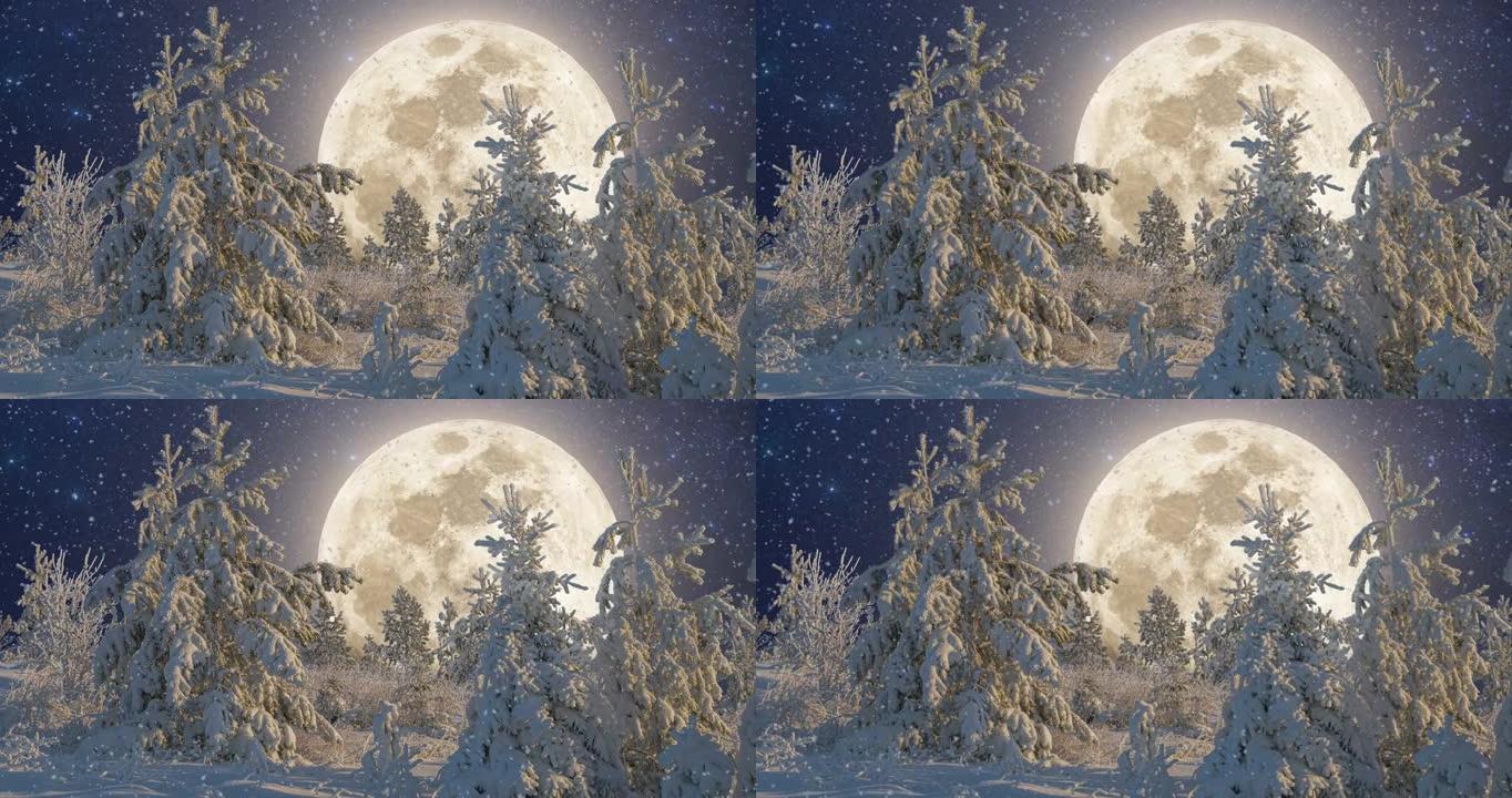 夜空明月的冬季景观。积雪覆盖的森林降雪。雪中的云杉树枝。从山顶看