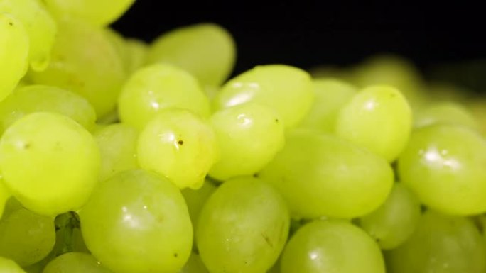 绿色成熟葡萄的湿浆果关闭，隔离在黑色工作室背景上。一滴水滴在一束多汁的甜葡萄上慢动作。秋季有机水果背