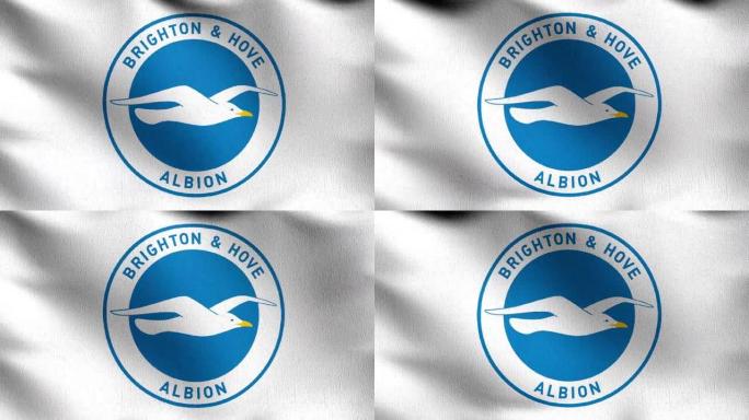 布莱顿，霍夫·阿尔比恩的旗帜在风中飘扬。英超足球俱乐部的标志。足球冠军。3 d演示。体育团队游戏。