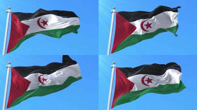 撒哈拉阿拉伯民主共和国国旗。循环
