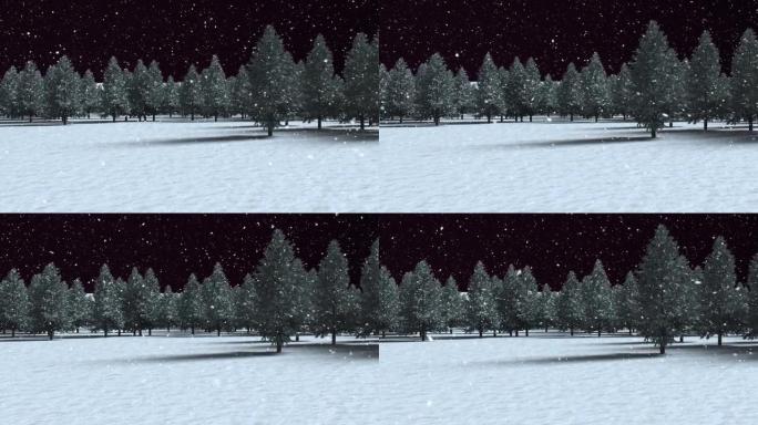 在黑色背景下的冬季景观上，积雪落在多棵树上