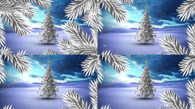 圣诞树树枝上的雪花落在冬天的白色圣诞树上