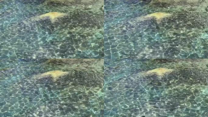 绿松石海水。闪闪发光的透明水。美丽的玉绿水彩。