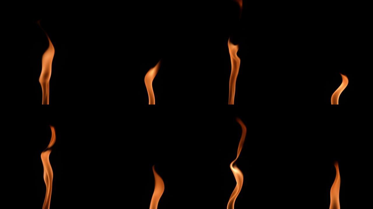 两个高火焰在黑色背景下点燃并用橙黄色火发光。真正的篝火，燃烧器或火炬在黑暗中燃烧。火光，危险的熊熊大