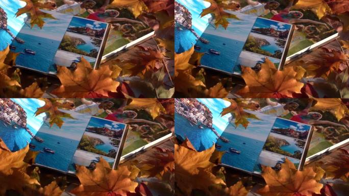 秋天的黄叶和家庭写真集。为相册背景安排的秋叶