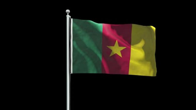 喀麦隆国旗动画背景4K
