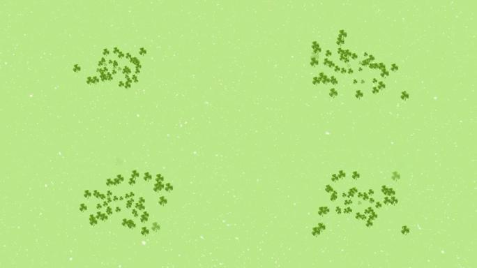 三叶草叶子和雪落在绿色背景上的动画