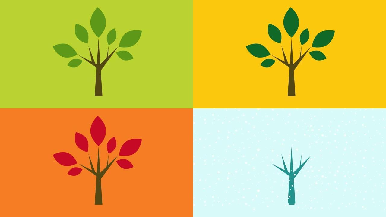 在树上描绘了四个季节周期。平面设计中的时间传递主题。可循环动画