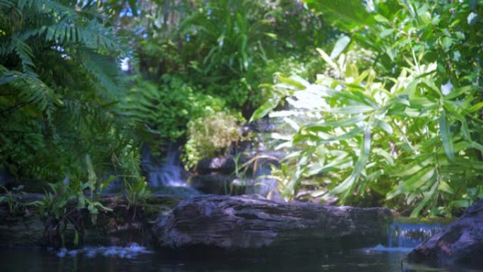 带喷泉和金鱼的装饰池塘，带瀑布喷泉的鱼塘