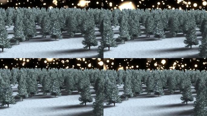 闪光点落在杉树和冬季景观上的动画