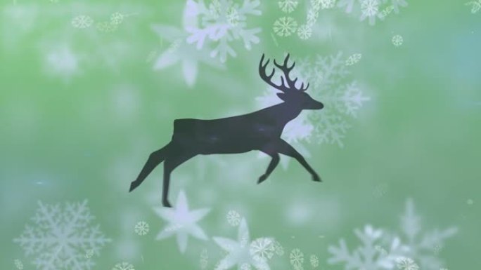 驯鹿在积雪上移动的动画