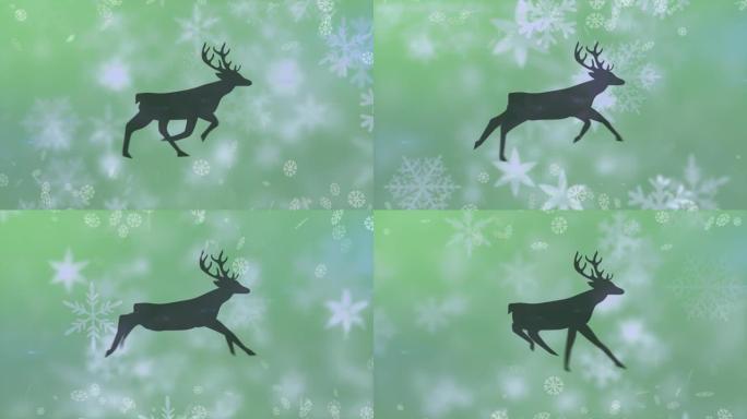 驯鹿在积雪上移动的动画