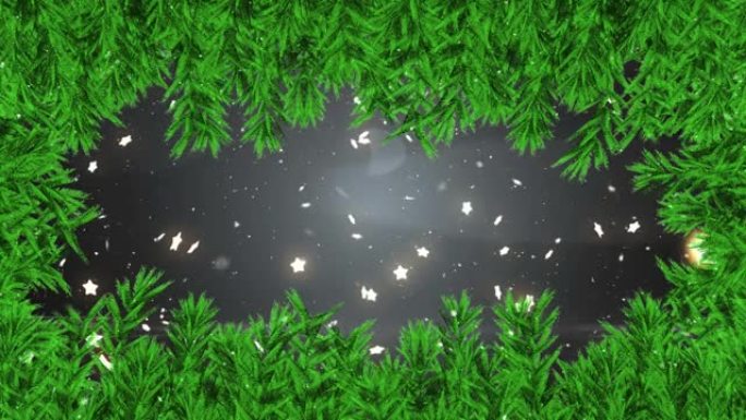 黑色背景上的星星和雪落在杉木树枝上的动画