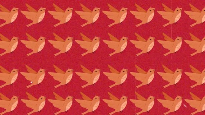 红色背景上的多只橙色鸟类的动画