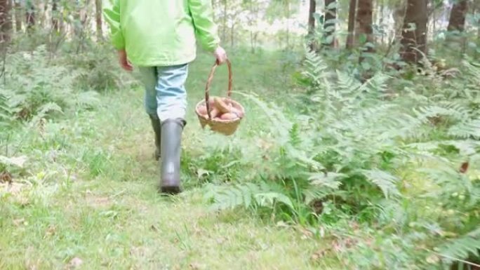 男孩走在美丽的森林里。针叶林采摘蘑菇。走进去